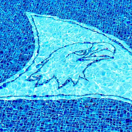 Appartement Ostoja Orli Dziob C1 *